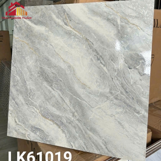 Gạch lát nền men 01 | 60x60 