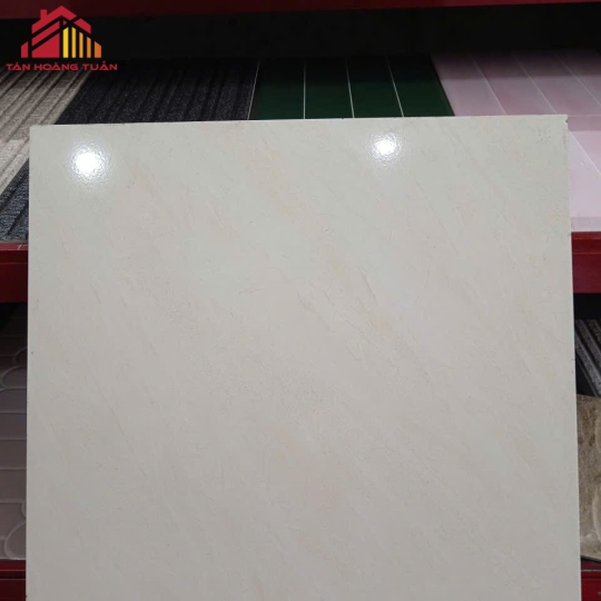 Gạch lát nền men 10 | 60x60 