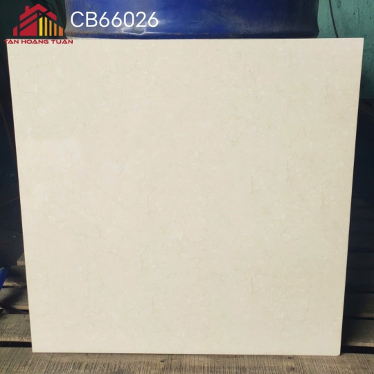 Gạch lát nền men 12 | 60x60 